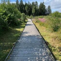 Cavan Burren Park - Cavan