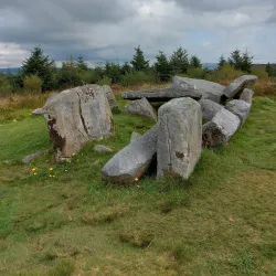 Cavan Burren Park - Cavan