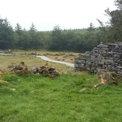 Cavan Burren Park - Cavan
