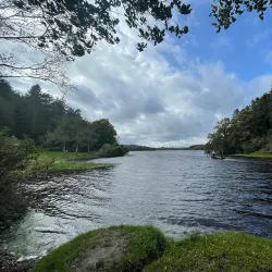 Killykeen Forest Park - Cavan