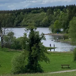 Killykeen Forest Park - Cavan