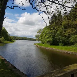 Killykeen Forest Park - Cavan