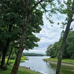 Killykeen Forest Park - Cavan