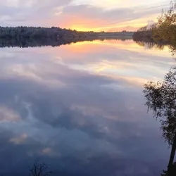 Killykeen Forest Park - Cavan