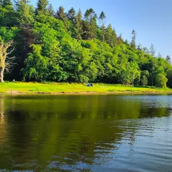 Killykeen Forest Park - Cavan