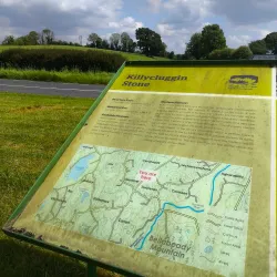 Tullymongan Stone Circle - Cavan