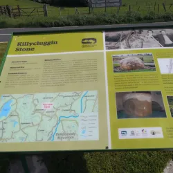 Tullymongan Stone Circle - Cavan