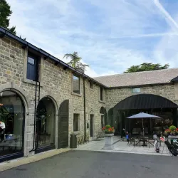 Carton House Golf Club - Celbridge