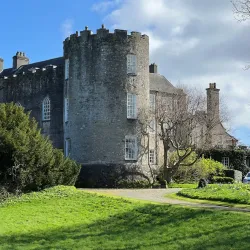 Leixlip Castle - Celbridge
