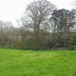 Leixlip Castle - Celbridge