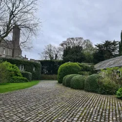 Leixlip Castle - Celbridge