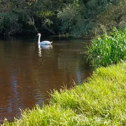 River Liffey Walks - Celbridge