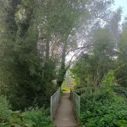 River Liffey Walks - Celbridge