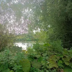 River Liffey Walks - Celbridge