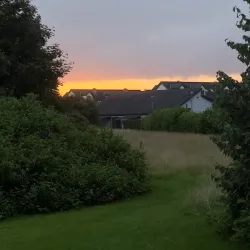 River Liffey Walks - Celbridge