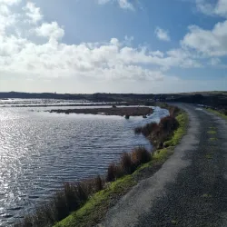 Alcock and Brown Memorial - Clifden