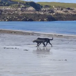 Clifden Arts Festival - Clifden