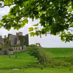 Clifden Castle - Clifden