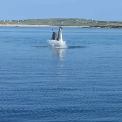 Omey Island - Clifden