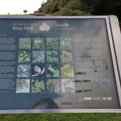 Rinville Park - Clifden