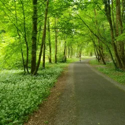 Rinville Park - Clifden