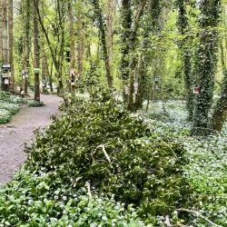 Rinville Park - Clifden