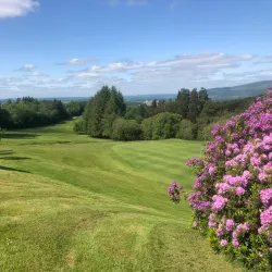Clonmel Golf Club - Clonmel