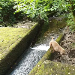 Clonmel Golf Club - Clonmel