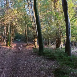 Clonmel Golf Club - Clonmel