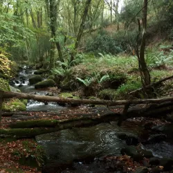 Clonmel Golf Club - Clonmel