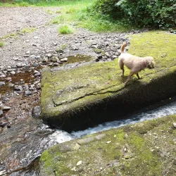 Clonmel Golf Club - Clonmel