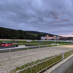 Clonmel Greyhound Stadium - Clonmel