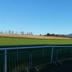 Clonmel Greyhound Stadium - Clonmel