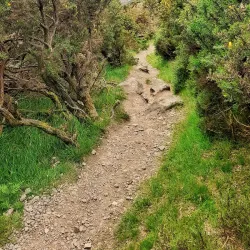 Comeragh Mountains - Clonmel