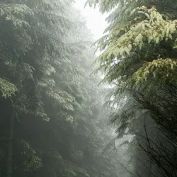 Comeragh Mountains - Clonmel