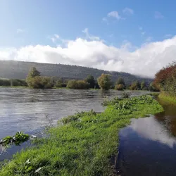 River Suir - Clonmel