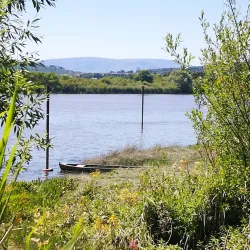 River Suir - Clonmel