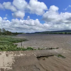 River Suir - Clonmel