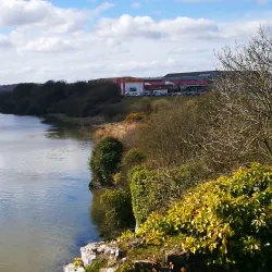 River Suir - Clonmel