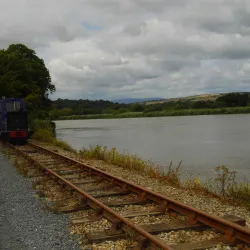 River Suir - Clonmel