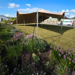 The Clonmel Junction Festival - Clonmel