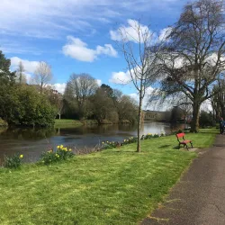 Fitzgerald Park - Cork