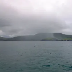 Blasket Islands - Dingle