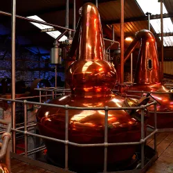 Dingle Distillery - Dingle