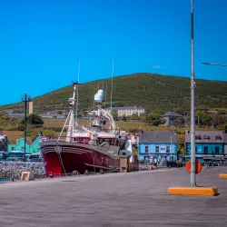 Dingle Harbour - Dingle