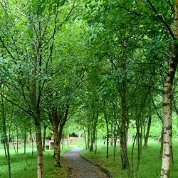 Dingle Heritage Centre - Dingle