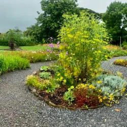 Dingle Heritage Centre - Dingle