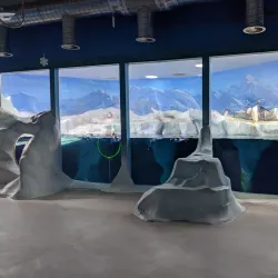 Dingle Oceanworld Aquarium - Dingle