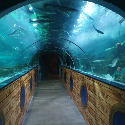 Dingle Oceanworld Aquarium - Dingle