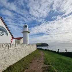 Dingle Town - Dingle